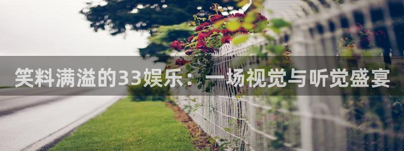 美狮贵宾会会员登录：笑料满溢的33娱乐：一场视觉与听觉盛宴