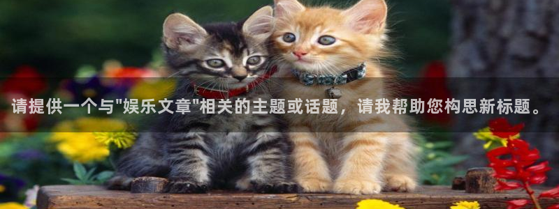 美狮贵宾会：请提供一个与\