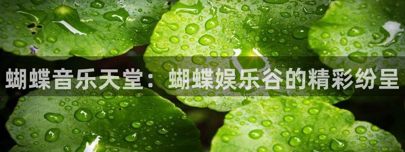 美狮贵宾会ms092021：蝴蝶音乐天堂：蝴蝶娱乐谷的精彩纷呈