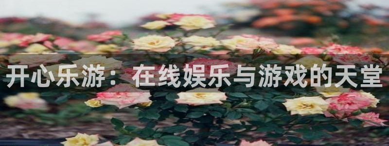 美狮贵宾会0923344：开心乐游：在线娱乐与游戏的天堂