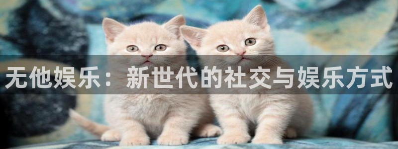 美狮贵宾会092268最新消息官网：无他娱乐：新世代的社交与娱乐方式