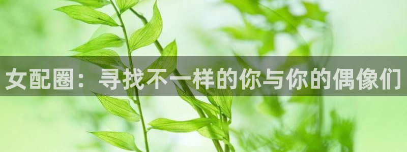 美狮贵宾会线路检测：女配圈：寻找不一样的你与你的偶像们