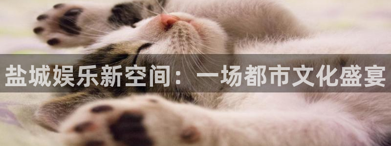 092000777美狮贵宾会：盐城娱乐新空间：一场都市文化盛宴