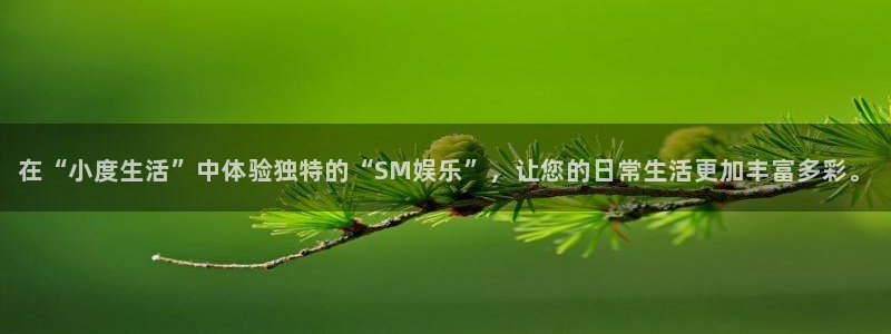 美狮贵宾会0924455：在“小度生活”中体验独特的“SM娱乐”，让您的日常生活更加丰富多彩。