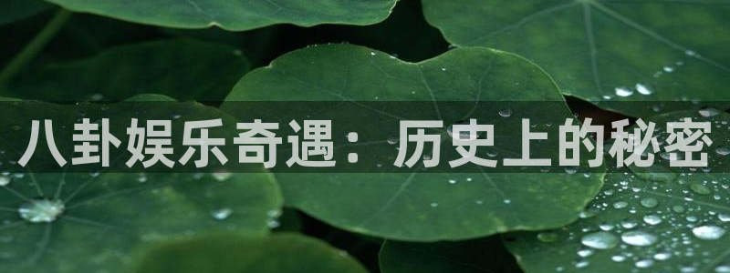 ms美狮贵宾会：八卦娱乐奇遇：历史上的秘密